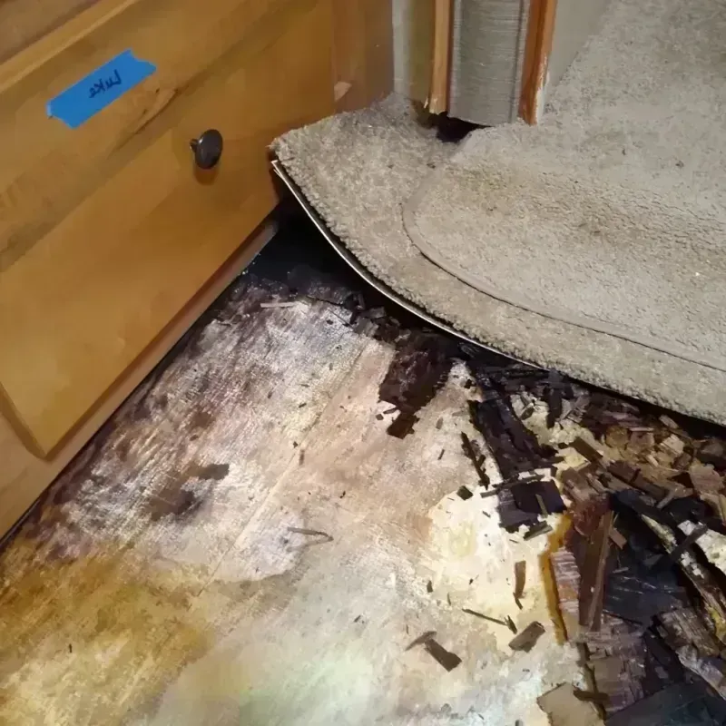 Wood Floor Water Damage in North Palm Beach, FL